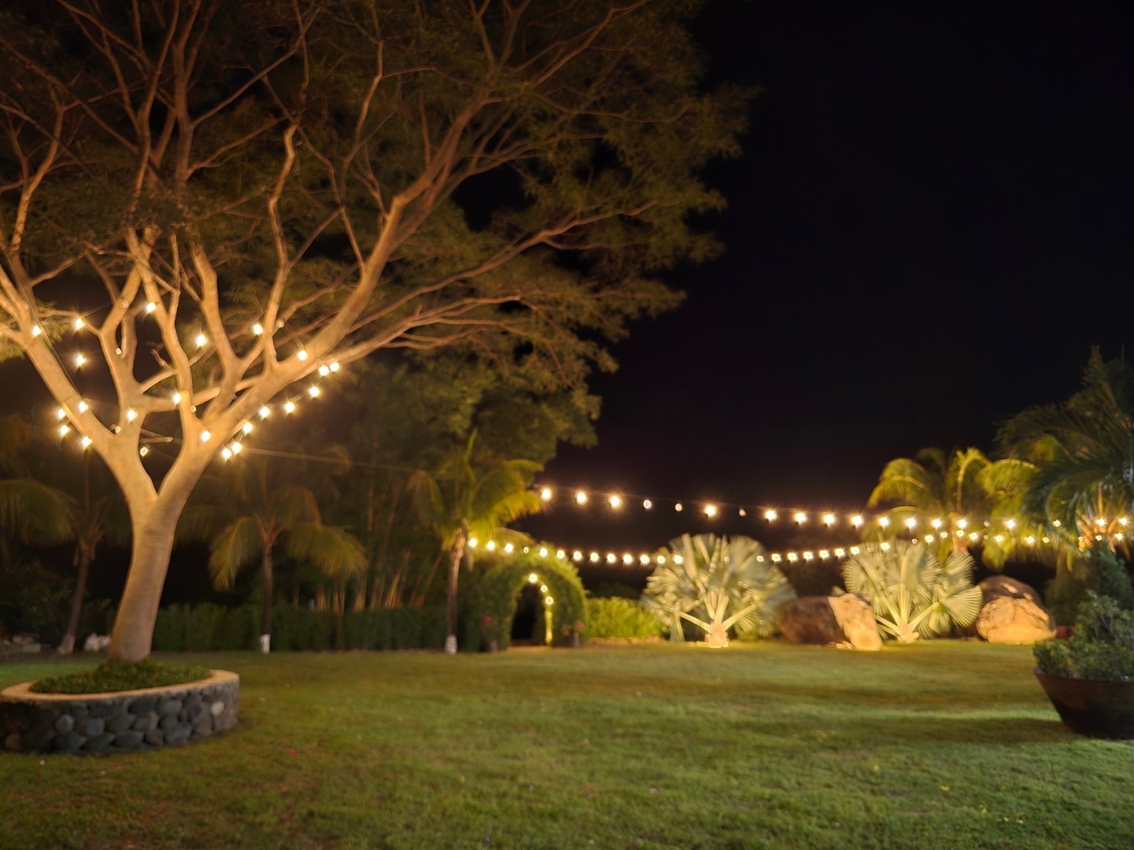 Jardín de Noche